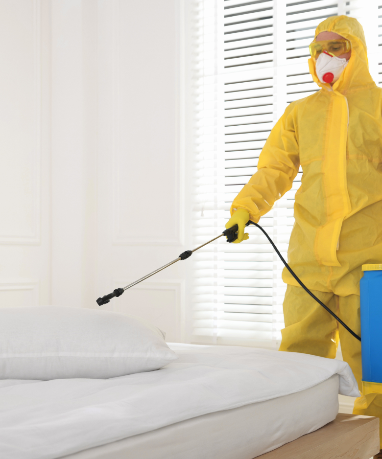 Professional Pest Control Team in Woodcroft